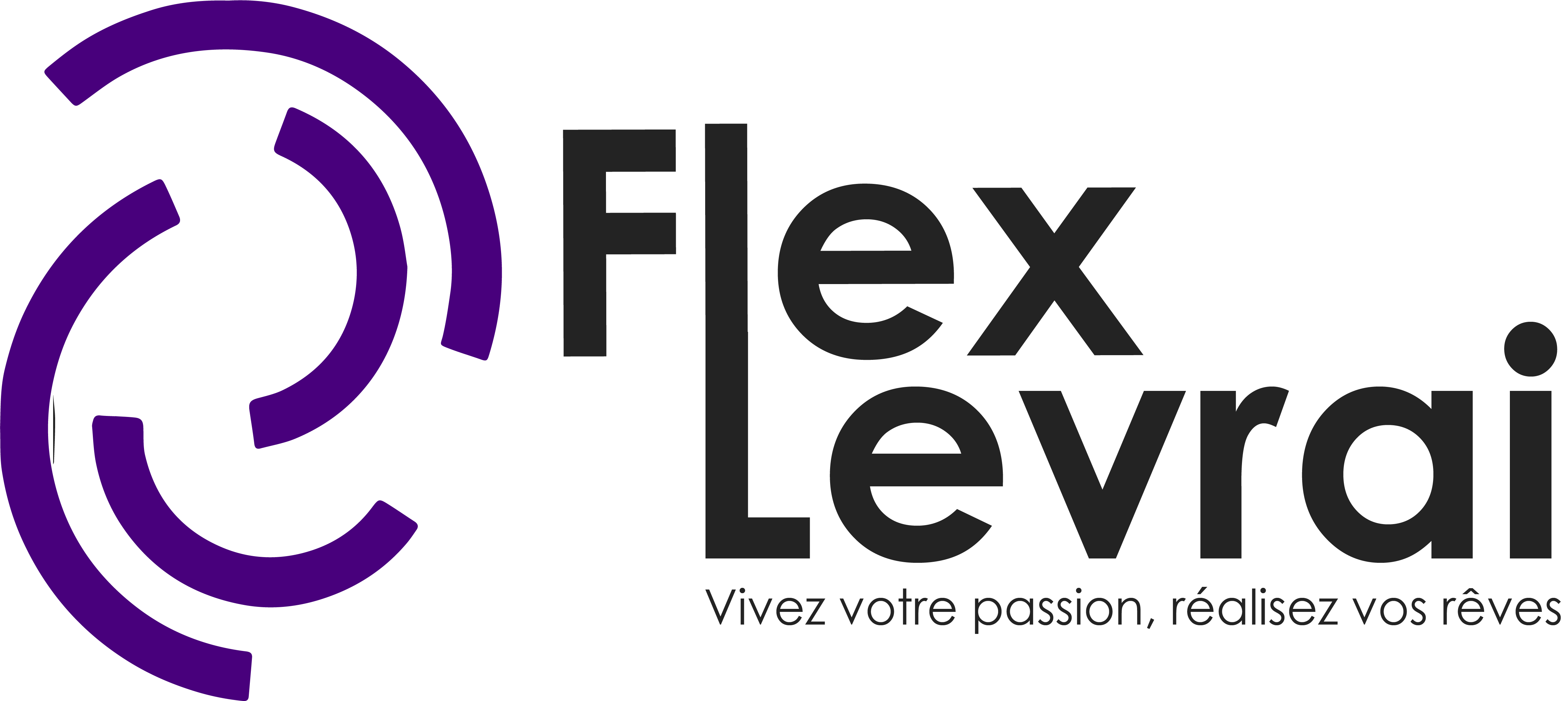 logo Flex 2